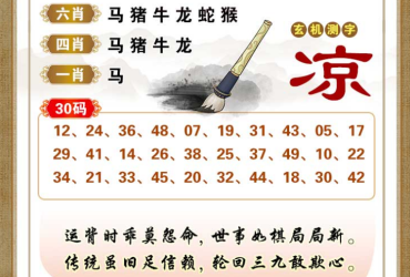 2025048期香港彩九肖30码中特